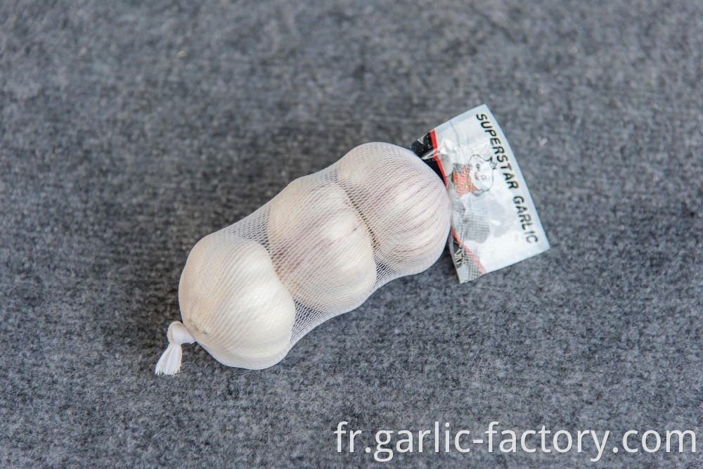Fresh Braid Fresh Garlic